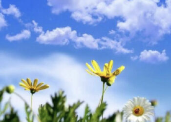 Dita nis me temperatura të larta, njihuni me parashikimin e motit