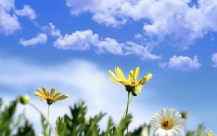 Dita nis me temperatura të larta, njihuni me parashikimin e motit