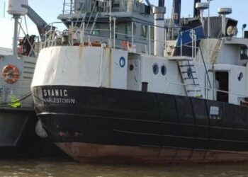 Arrestohen 3 kontrabandistët, po transportonin 69 migrantë shqiptarë nga Belgjika në Mbretërinë e Bashkuar