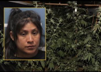 3-vjeçarja vdes në makinë nga asfiksimi në SHBA. E ëma e harroi dhe shkoi të kujdesej për kanabisin