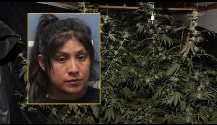 3-vjeçarja vdes në makinë nga asfiksimi në SHBA. E ëma e harroi dhe shkoi të kujdesej për kanabisin