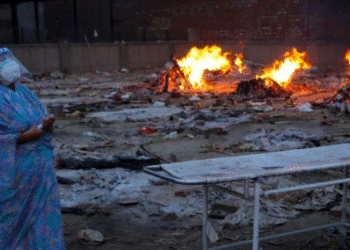 India porosit 300 milionë doza të një vaksine të pamiratuar