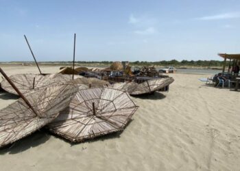 Operacioni për bregdetin/ Hiqen 157 shezlongë e 76 çadra në Divjakë