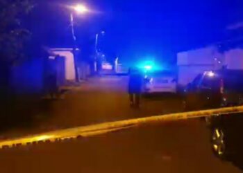 Krimi në familje/ Pastruesja njoftoi policinë, vëllai vrau motrën me silenciator dhe e mbajti në banesë