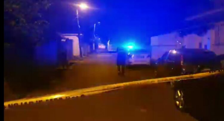 Krimi në familje/ Pastruesja njoftoi policinë, vëllai vrau motrën me silenciator dhe e mbajti në banesë