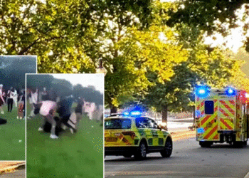 Tmerr në Londër! Banda me hanxhar dhe thika sulmojnë të riun në park