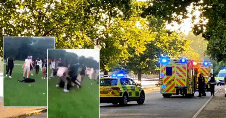Tmerr në Londër! Banda me hanxhar dhe thika sulmojnë të riun në park