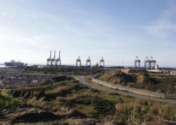 Itali/ Sekuestrohet mbi 1 ton kokainë në një kontejner, ishte nisur nga Ekuadori drejt Turqisë