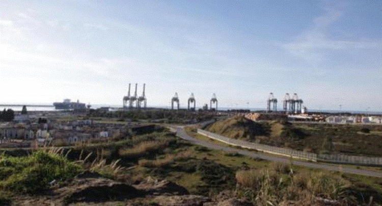 Itali/ Sekuestrohet mbi 1 ton kokainë në një kontejner, ishte nisur nga Ekuadori drejt Turqisë