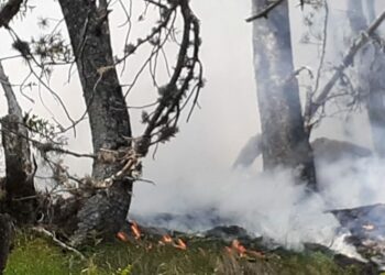 Vijojnë ende flakët në Malin e Tomorit, dy të arrestuar nga policia