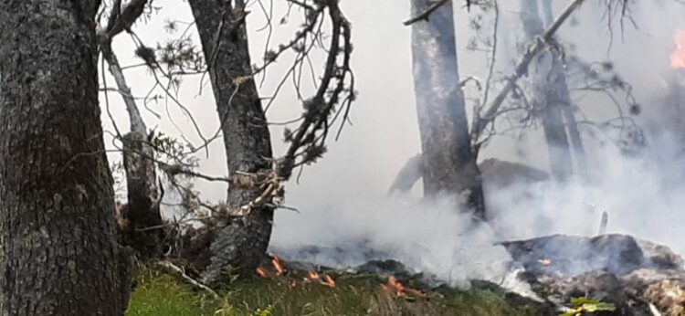 Vijojnë ende flakët në Malin e Tomorit, dy të arrestuar nga policia