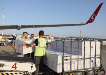 Mbërrijnë në Rinas 340 mijë doza vaksina Coronavac/ Edi Rama bën bilancin: Sasia më e madhe e ardhur njëherësh