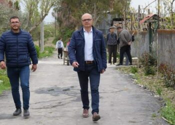Petro Koçi “godet” Armando Subashin: SPAK të ndërhyjë, trafikantët e drogës fitojnë tenderat në Fier