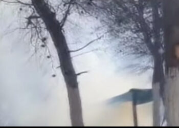 Merr flakë lokali në Zvërnec, pushuesit largohen të trembur nga flakët