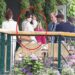 Priyanka Chopra, mikesha e Meghan, injoron Kate dhe William! Videoja e sikletshme