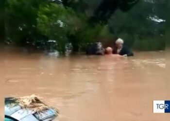 VIDEO/ Shqiptari hero, hidhet ‘pa u menduar dy herë’ në ujë dhe shpëton italianin