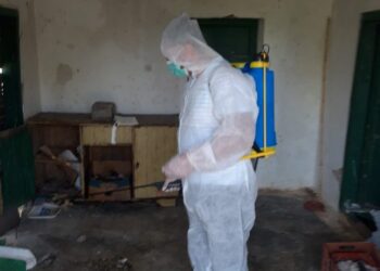 Shfaqet gripi i shpendëve në Fier, nis dizinfektimi i ambientit