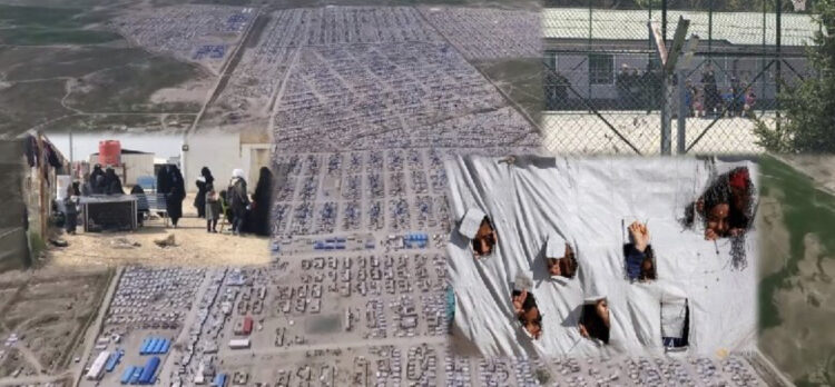 Nis riatdhesimi i familjeve shqiptare nga kampi i ISIS