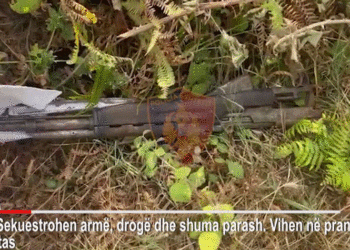 Rrëmbim, drogë, armë e kanabis, arrestohen 4 persona në Lushnje e në Fier