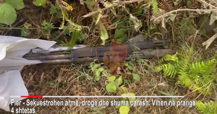 Rrëmbim, drogë, armë e kanabis, arrestohen 4 persona në Lushnje e në Fier