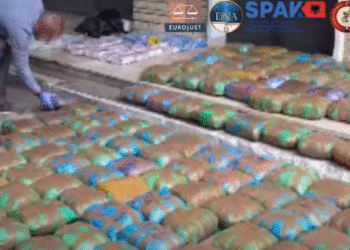 EMRAT/ Kush janë të arrestuarit e përfshirë në trafikun ndërkombëtar të drogës