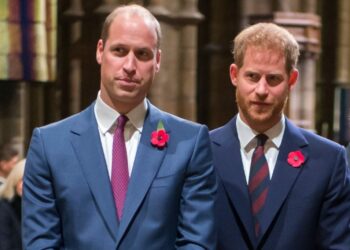 William dhe Harry mezi i folën njëri-tjetrit gjatë zbulimit të statujës së Princeshës Diana