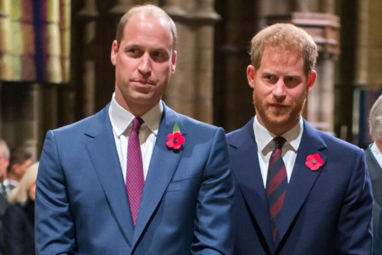 William dhe Harry mezi i folën njëri-tjetrit gjatë zbulimit të statujës së Princeshës Diana