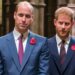 William dhe Harry mezi i folën njëri-tjetrit gjatë zbulimit të statujës së Princeshës Diana