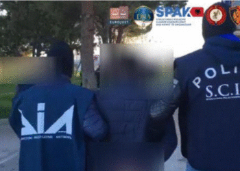 Operacion antidroge në Shqipëri dhe disa shtete: Arrestohen 38 persona, mes tyre edhe zyrtarë