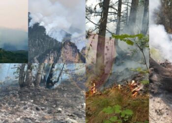 Prej katër ditësh në flakë, vatra të reja zjarri në malin e Tomorrit