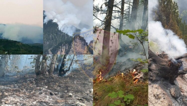 Prej katër ditësh në flakë, vatra të reja zjarri në malin e Tomorrit