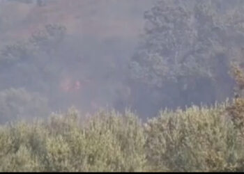 Zjarr në pyllin e Sodës në Vlorë! Zjarrëfikëset shuajnë zjarrin, 10 efektivë në terren, në ndihmë vijnë dhe banorët