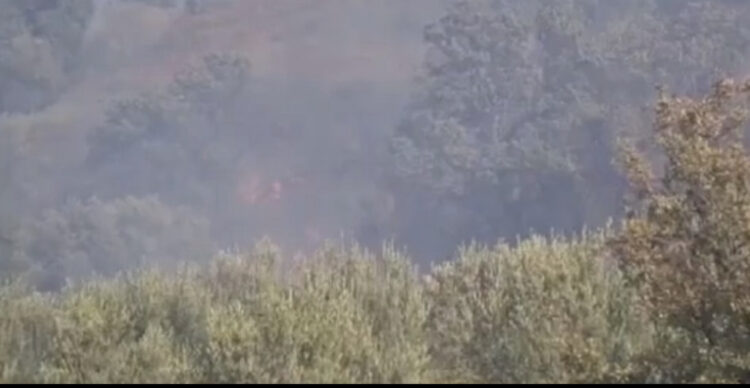 Zjarr në pyllin e Sodës në Vlorë! Zjarrëfikëset shuajnë zjarrin, 10 efektivë në terren, në ndihmë vijnë dhe banorët