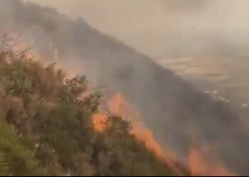 Shënohet viktima e parë nga zjarret në Shqipëri, vdes 64-vjeçari në Gjirokastër