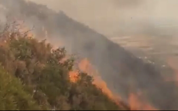 Shënohet viktima e parë nga zjarret në Shqipëri, vdes 64-vjeçari në Gjirokastër