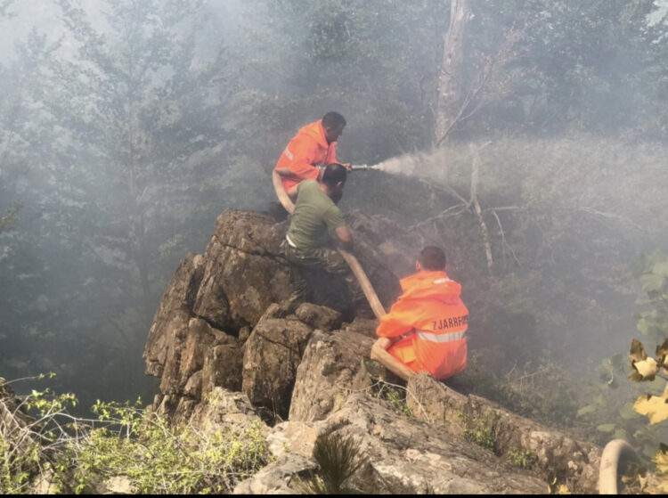 Eleminohet rreziku në vatrat e zjarrit në Dukat e Gjirin e Gramës, vështirësohet ndërhyrja në Majën e Rrunës