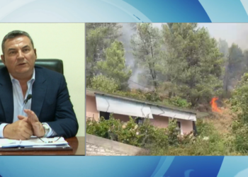 Me pushime kur vendi ishte në flakë? Haki Çako: Kam edhe unë familjen time, shteti s’funksionon me emra. Kisha deleguar një drejtor