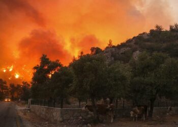 Mijëra njerëz në Greqi largohen nga shtëpitë e tyre ndërsa zjarret i afrohen Athinës