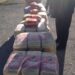 Kapet sasi kafeje kontrabandë në dyqanin në Tiranë, arrestohet 61-vjeçari, procedohet penalisht bashkëshortja