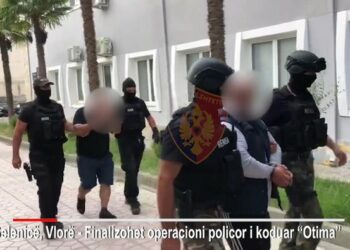 Shtëpi bari në Vlorë/ Kultivuan kanabis në zonën e Otimës, tre të arrestuar