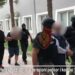 Shtëpi bari në Vlorë/ Kultivuan kanabis në zonën e Otimës, tre të arrestuar