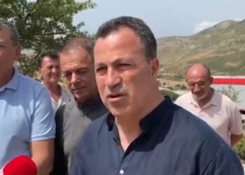 Zjarret në vend, flet Niko Peleshi: Aktualisht aktive 9 vatrat, më të rrezikshme ato të Kukësit