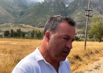 “I kemi kërkuar ndihmë Italisë, Turqisë dhe Çekisë…”, Niko Peleshi: Holanda ndihmë bujare