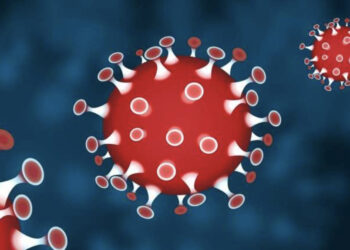 Ndërtohet “ora” e sistemit imunitar, që parashikon sëmundjet dhe vdekshmërinë