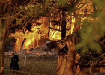 Beteja me flakët në Greqi, raportohet për 16 të lënduar