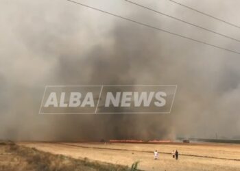 Situata jashtë kontrollit në Vlorë/ Zjarr në fshatin Gjorm të Selenicës, digjen banesa dhe bagëti (VIDEO)