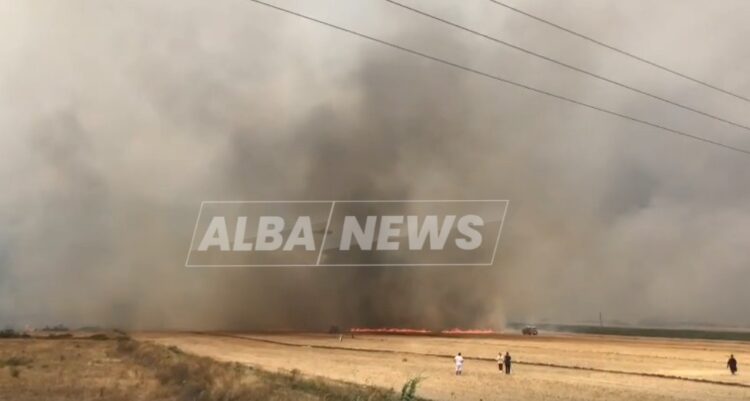 Situata jashtë kontrollit në Vlorë/ Zjarr në fshatin Gjorm të Selenicës, digjen banesa dhe bagëti (VIDEO)