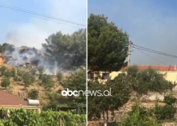 Ndizet një vatër zjarri në Zejmen të Lezhës, flakët pranë banesave