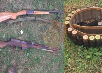 U kap me pushkë dhe armë gjahu në banesë, arrestohet 36-vjeçari në Dibër