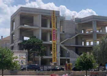 LVV në Shqipëri ndërmerr aksion kundër pjesëmarrjes së Goran Bregoviçit në Festën e Birrës në Korçë